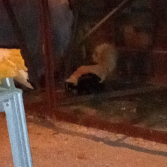 Meet your Posher, Michelle - Picture 9 of 16